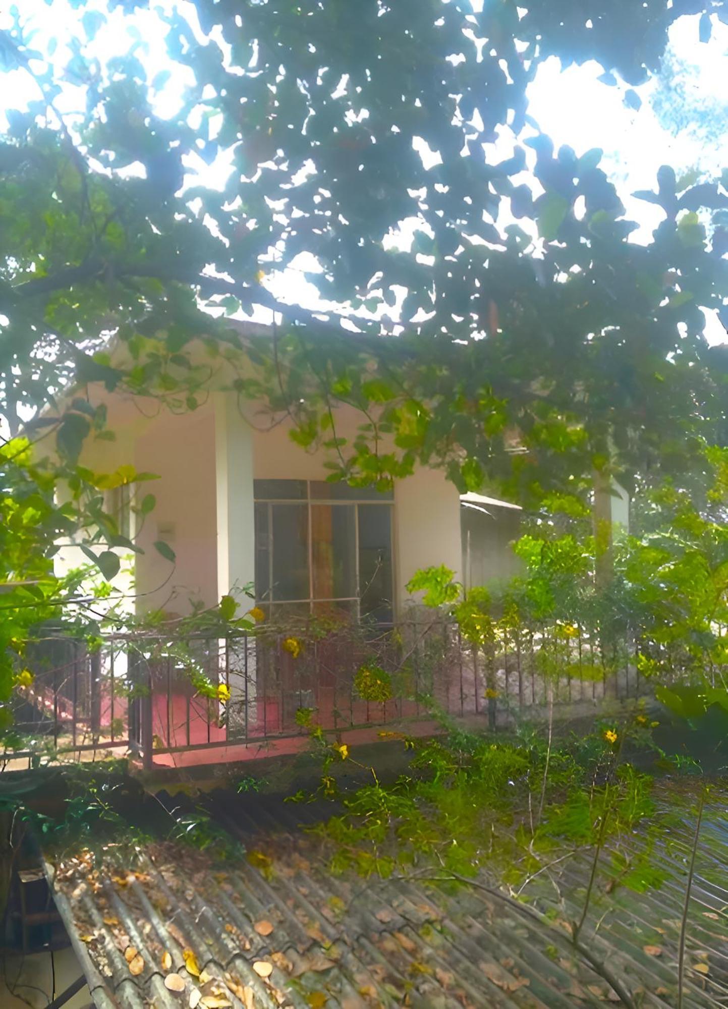 Senehas Homestay Ella Εξωτερικό φωτογραφία